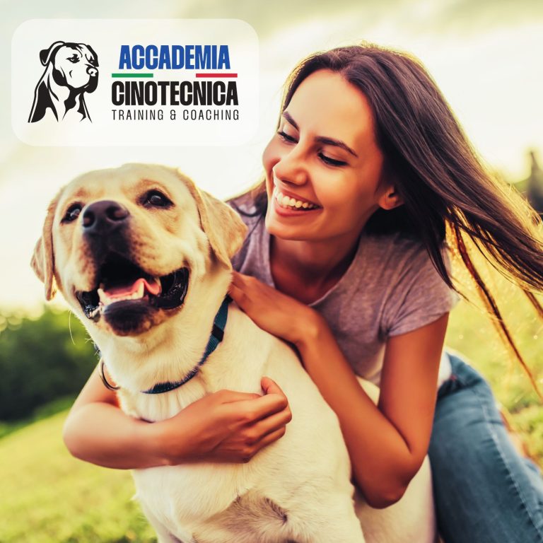 corso dog sitter verona (1)