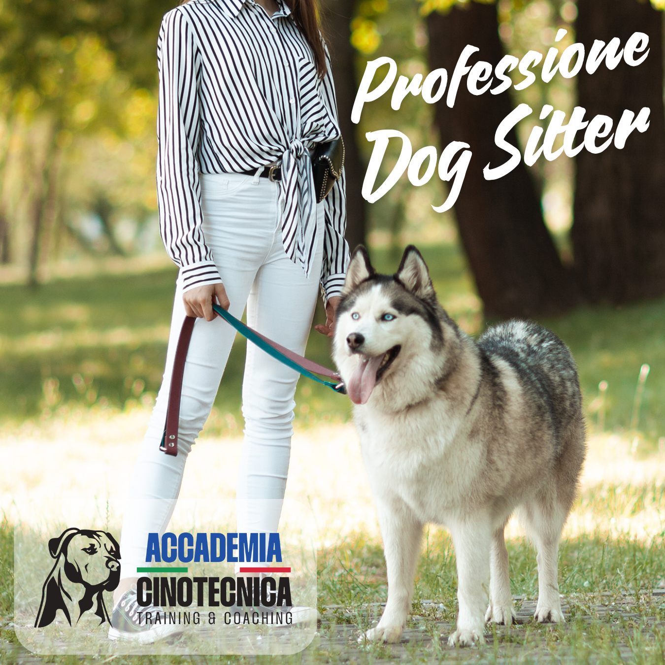Corso Dog Sitter e proprietario conduttore del cane – dal 5 marzo 2026 a Verona