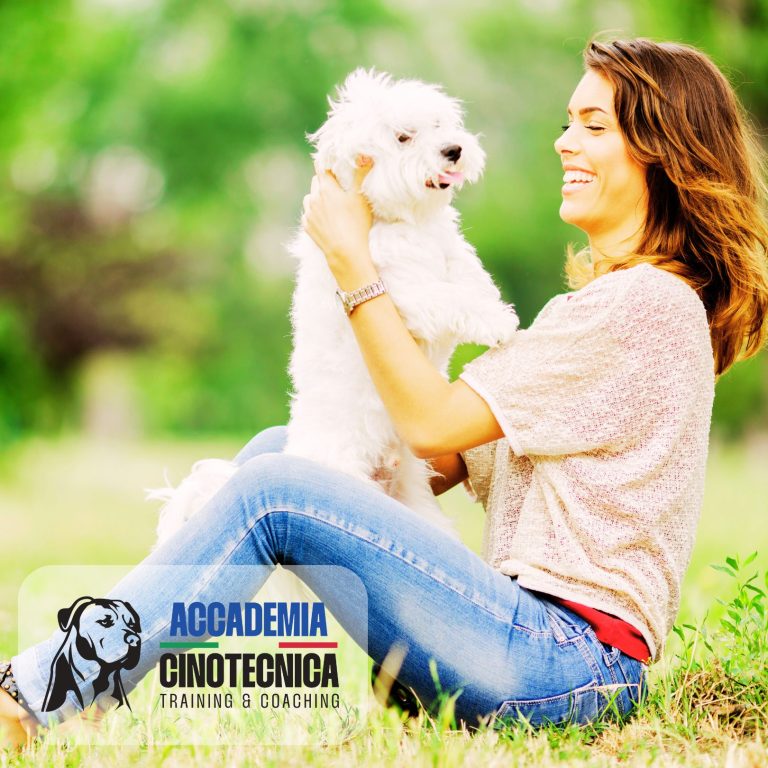 dog mindfulness verona (1)