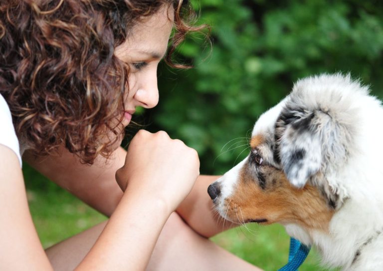 relazione con il cane (1)