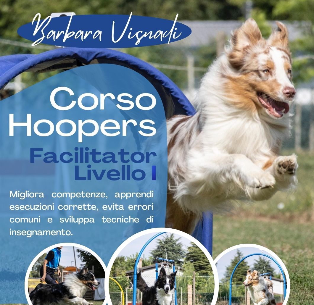 Corso Hoopers Facilitator livello I con Barbara Visnadi – Verona Est Domenica 17 maggio ore 09:30