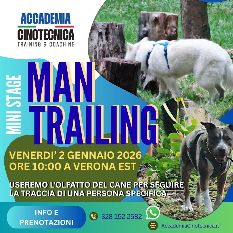 Mini Stage MANTRAILING a Verona Est – venerdì 2 gennaio 2026 ore 10:00