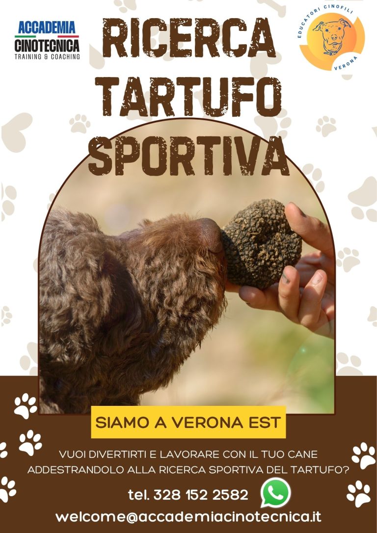 RICERCA TARTUFO SPORTIVA
