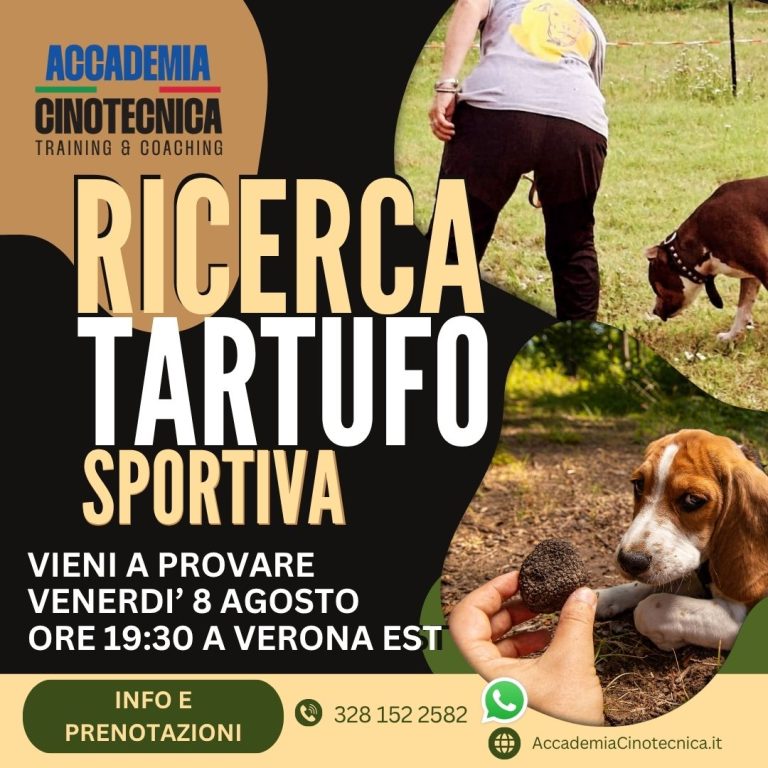 RICERCA TARTUFO A VERONA