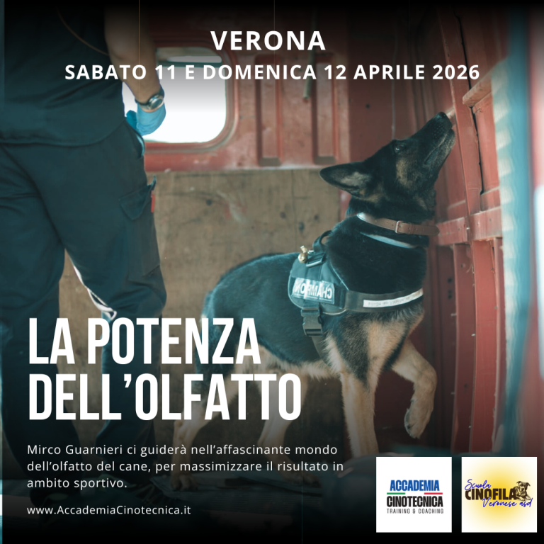 la potenza dell'olfatto - detection Mirco Guarnieri