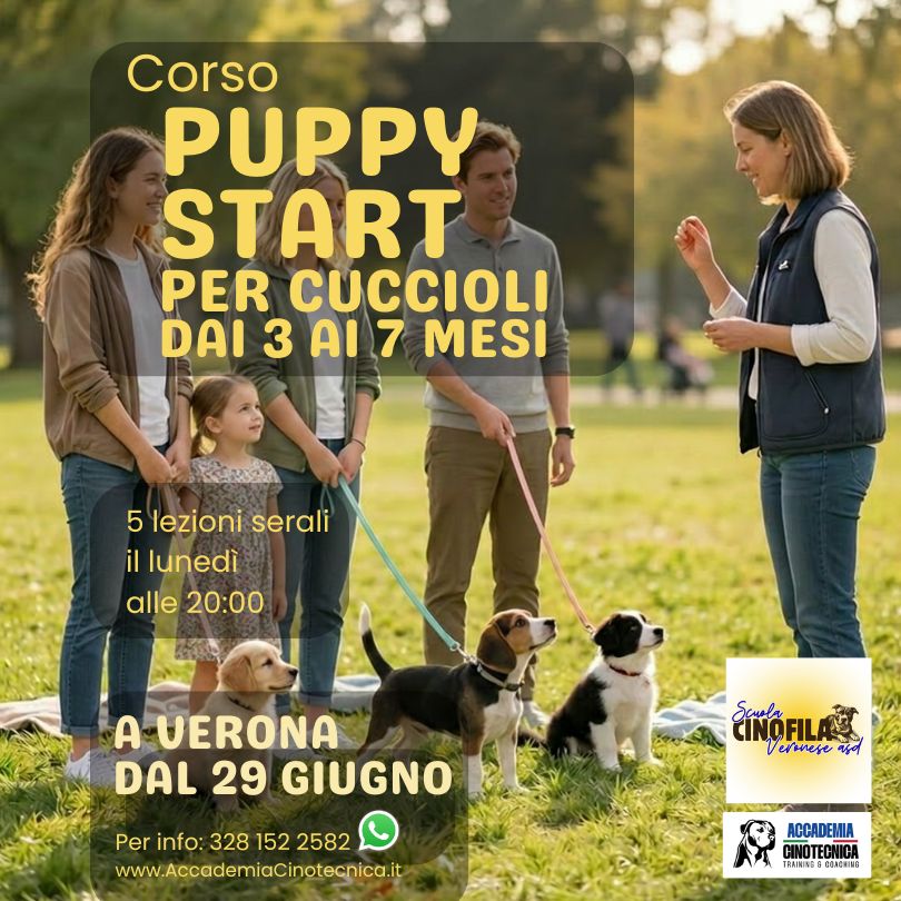 Corso Cuccioli dai 3 ai 7 mesi – Puppy Start – dal 29 giugno ore 20:00