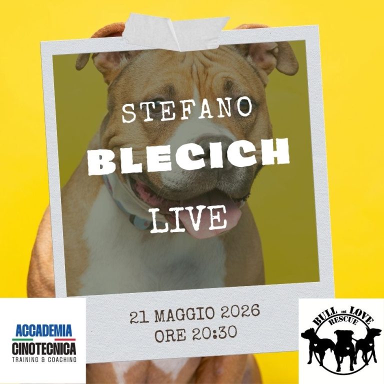 STEFANO BLECICH