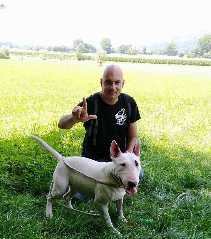 Stefano Blecich Bull & Love Rescue