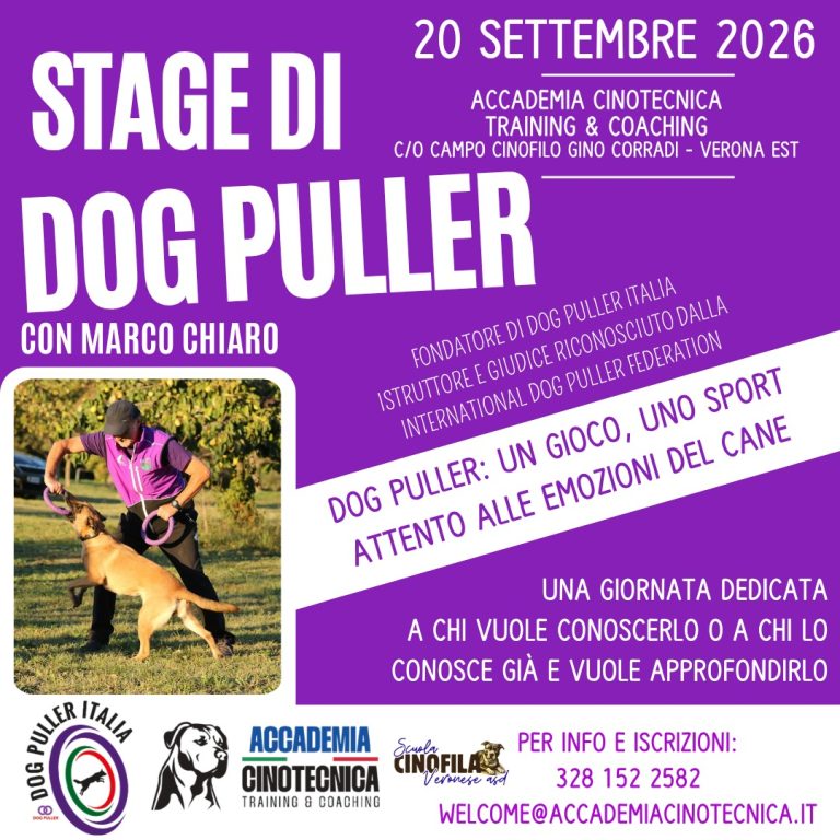 dog puller a verona