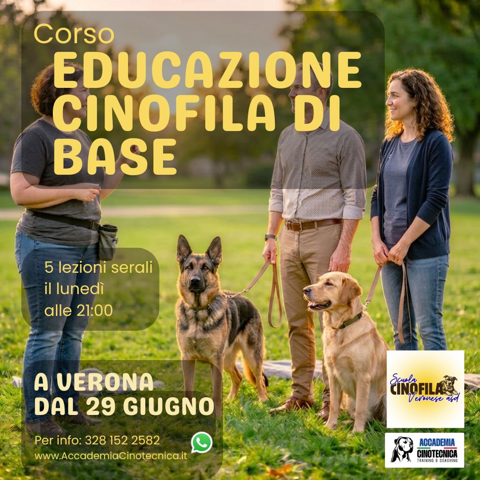 Corso Educazione Cinofila di base per cani dagli 8 mesi – dal 29 giugno ore 21:00