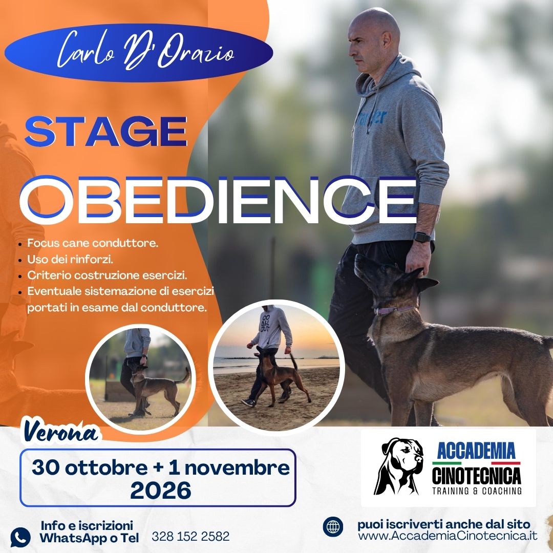 Stage Obedience con Carlo D’Orazio – 30 ottobre e 1° novembre 2026