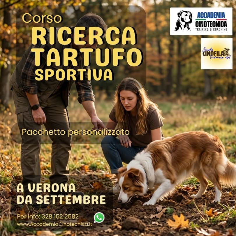 Corso RICERCA SPORTIVA TARTUFO a Verona – pacchetto personalizzato di 4 lezioni da 60 minuti